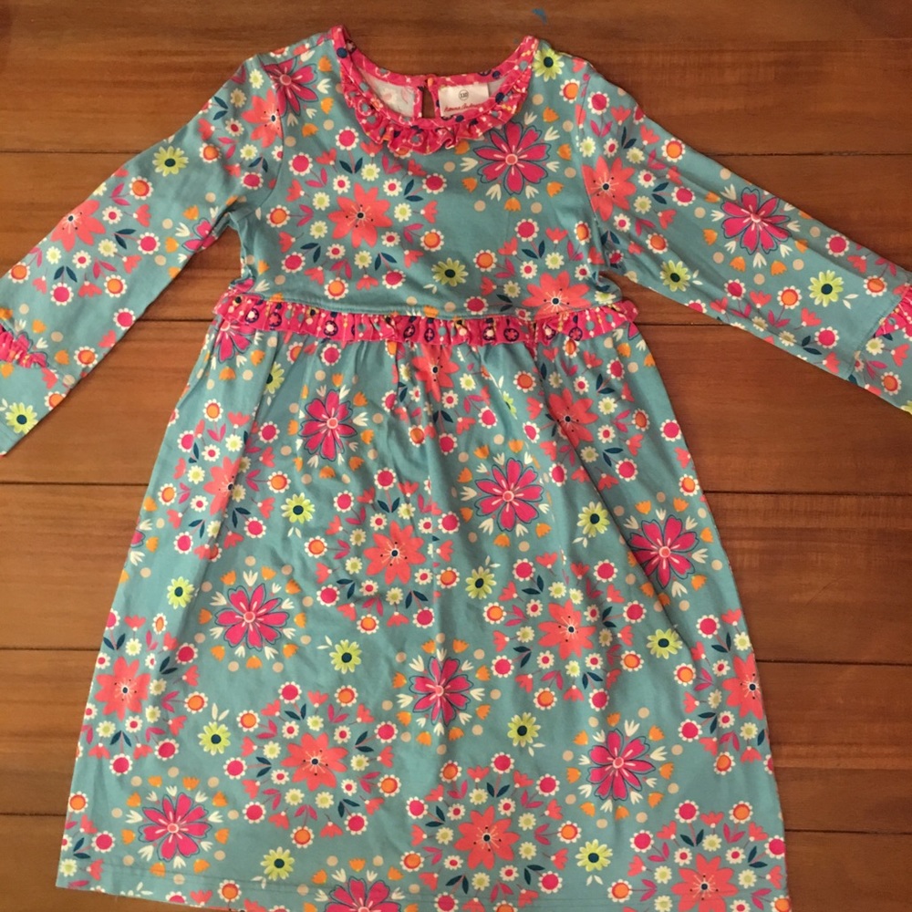 Hanna Andersson 110 Long Sleeve Dress